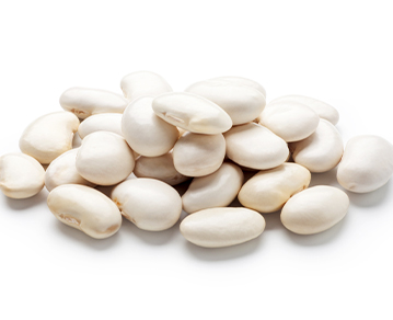 White Kidney Bean Extract